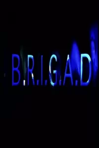 B.R.I.G.A.D. - Saison 1