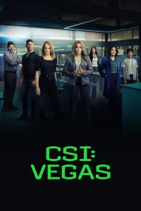 Les Experts : Vegas - Saison 2